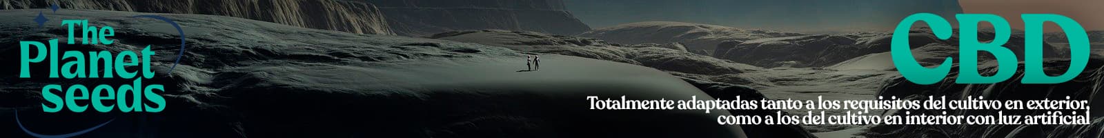 Existen muchas razones por las que cultivar con semillas CBD