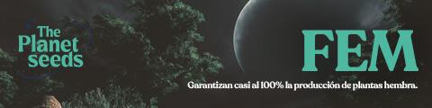 Existen muchas razones por las que cultivar con semillas Positronics Seeds Fem